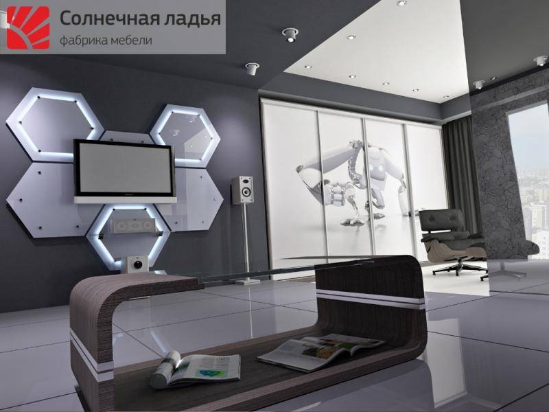 шкаф - купе для гостиной 11 в Подольске