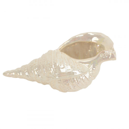 статуэтка раковина в Подольске