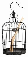 декоративная клетка с птичкой jaula в Подольске
