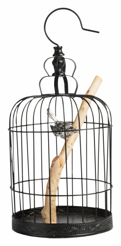 декоративная клетка с птичкой jaula в Подольске