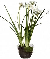 декор allium в Подольске