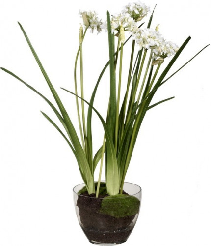 декор allium в Подольске