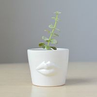 набор для выращивания eco мини-кашпо «губы» в Подольске