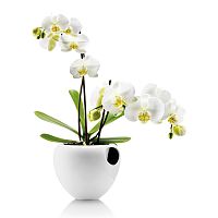 горшок для орхидеи orchid pot белый в Подольске