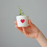 набор для выращивания eco мини-кашпо «сердце» в Подольске