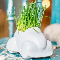 набор для выращивания eco машина в Подольске