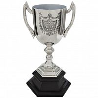 кубок наградной 14,5*14*29 в Подольске