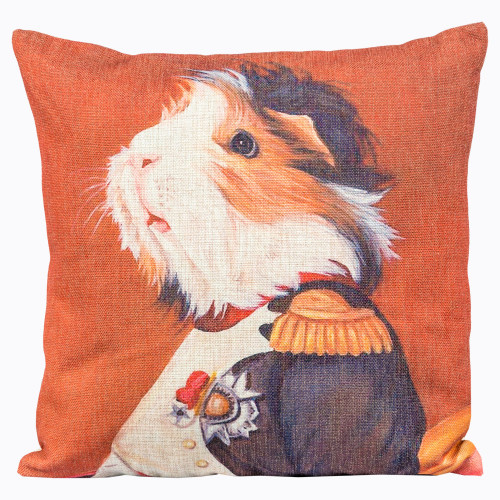 арт-подушка музейный экспонат, версия 47 в Подольске