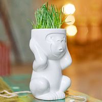 горшок для растений eco игнорик в Подольске